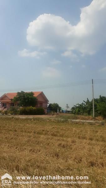 ที่ดินเปล่า-200-ตรว-ถคลองห้าฝั่งตะวันออก-14